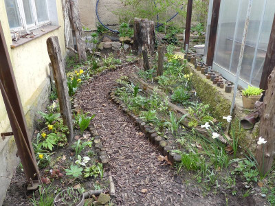 2024-04-09 Garteneinblick 1.jpg