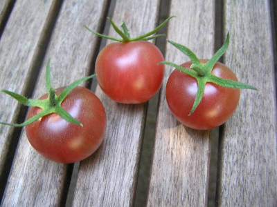 blackcherry310708.jpg
