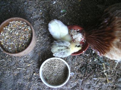 Hunger.jpg