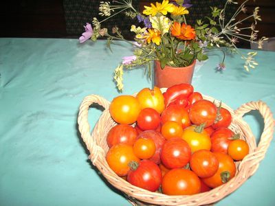 Gartenstilleben.jpg