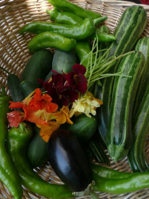 ernte_080801.jpg