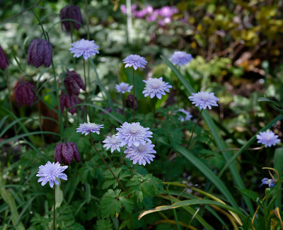 DSC_8479_DxO.jpg