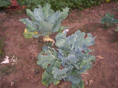 K640_100_5589.JPG