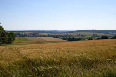 Mahring20081508.jpg