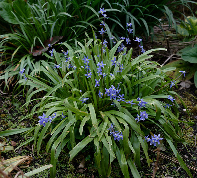 DSC_8495_DxO.jpg