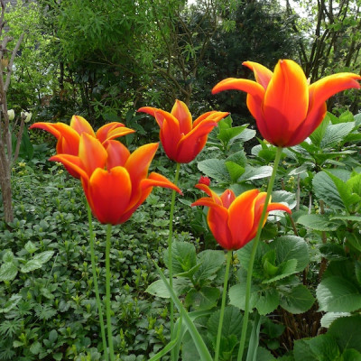 P1020253.JPG
