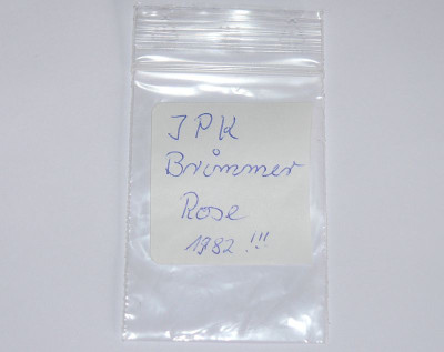 240413_Brimmer Rose_1.jpg