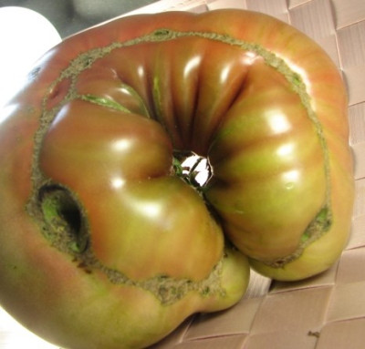 donut.JPG