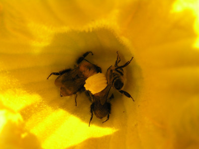 fruehstueck020808.jpg