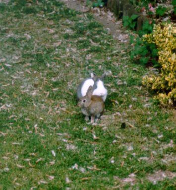 chary-hat-besuch-1997.jpg
