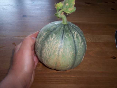 K640_100_5591.JPG