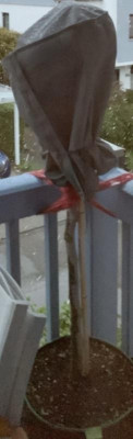 IMG_2810.jpeg