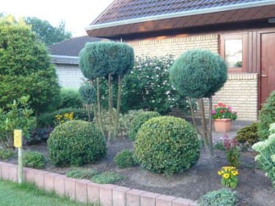 S_Bild_6_fars_2008.jpg