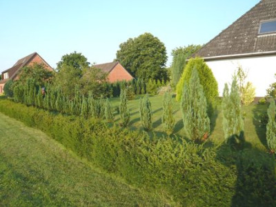 S_Bild_9_fars_2008.jpg