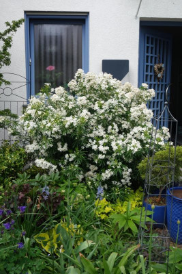 DSC03445.JPG