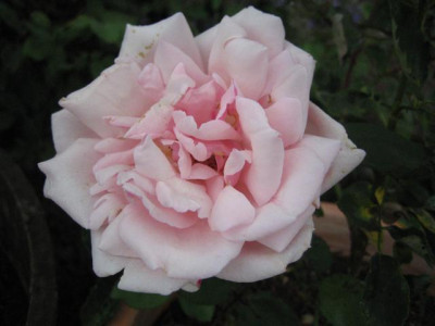 IMG_3314_Small.JPG