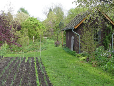 2024-04-19 Garteneinblick 7.jpg
