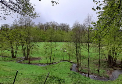 20240420_142644.jpg