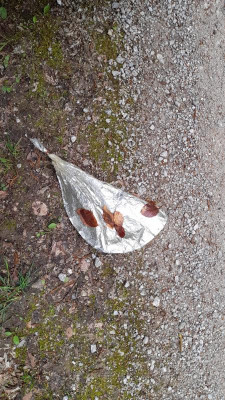IMG-20240420-WA0015.jpeg