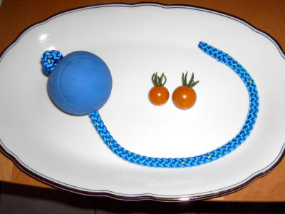 PICT2115a.jpg