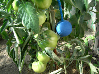Garten38.jpg