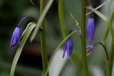 DSC_8540_DxO.jpg