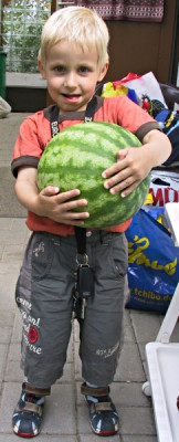 dehnermelone2.jpg