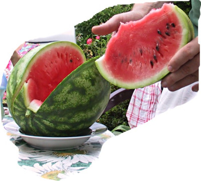 dehnermelone3.jpg