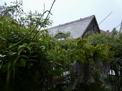 tg_240422.jpg