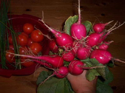 K640_100_5619.JPG