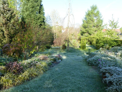 2024-04-23 Garteneinblick 4.jpg