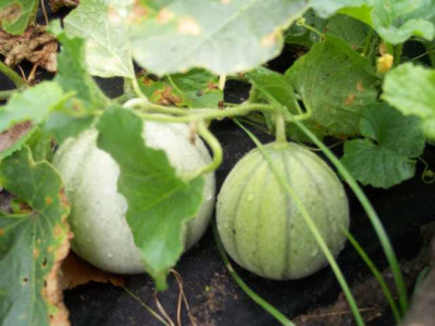 K640_100_5632.JPG