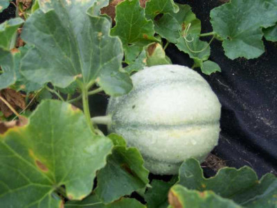 K640_100_5633.JPG