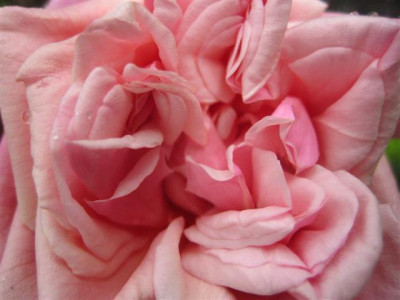 IMG_3324_Small.JPG
