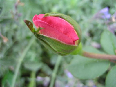 IMG_3336_Small.JPG
