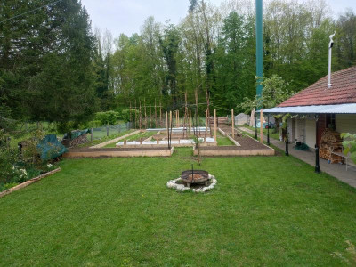 Gemüse Irrgarten.JPG