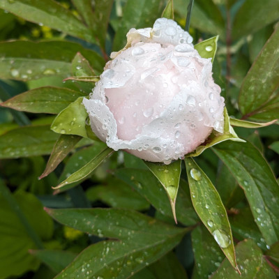 PXL_202404261.jpg
