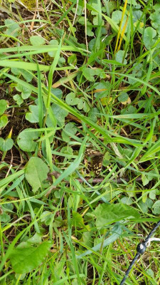IMG-20240426-WA0011.jpeg