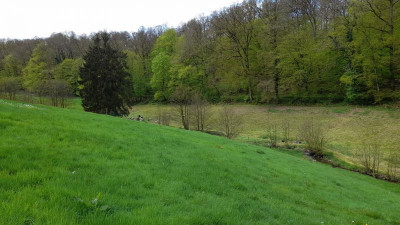 IMG-20240426-WA0003.jpeg