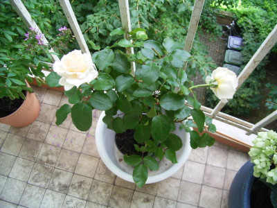 AQE_08_08_02.JPG