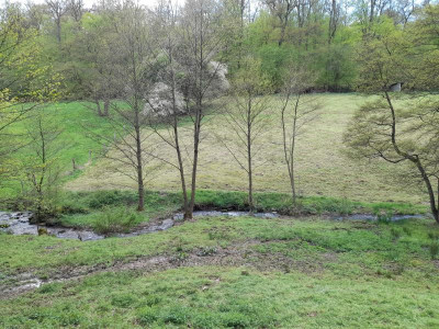 20240427_165754.jpg