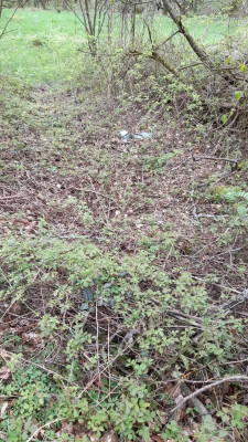 IMG-20240427-WA0018.jpeg