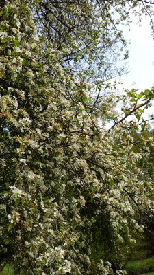IMG-20240427-WA0009.jpeg