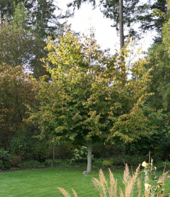 P1001019.JPG