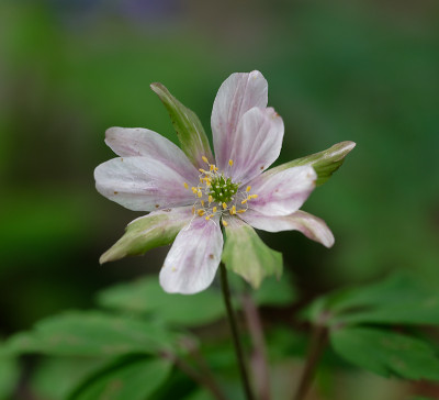 DSC_8546_DxO.jpg