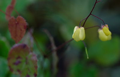 DSC_8550_DxO.jpg