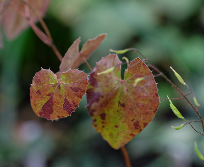 DSC_8551_DxO.jpg