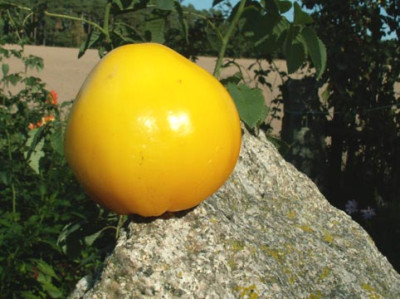 607_vv_Tomate_Solotije_Kupola.jpg