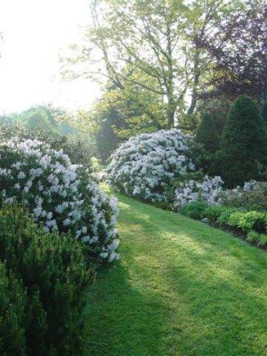 15.05.2004_Garten_Rhodos_1.jpg