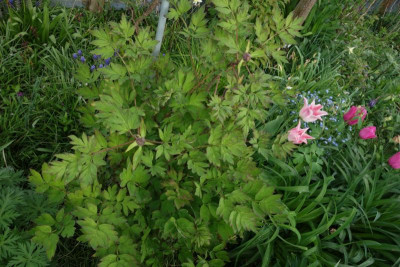 DSC03424.JPG